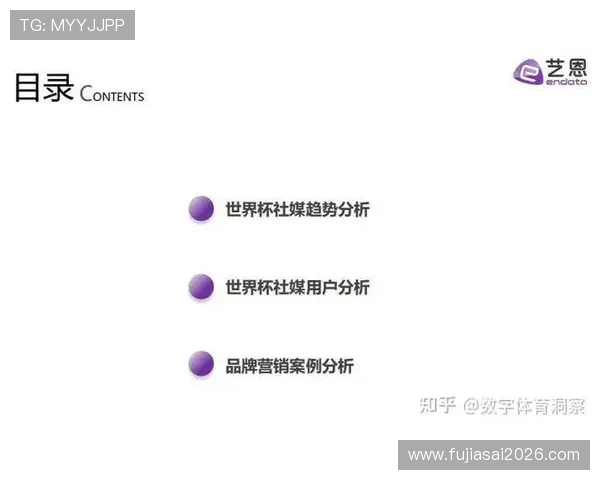 世界杯报道中的统计数据分析案例分享助你掌握实战技巧提升报道质量